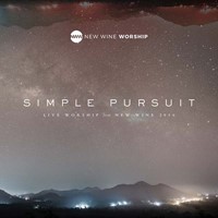 Simple Pursuit (CD)