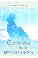 Gods weg door je beproevingen (Paperback)