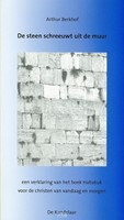 De steen schreeuwt uit de muur (Paperback)