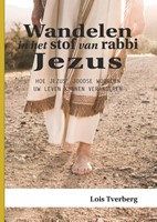 Wandelen in het stof van rabbi Jezus (Paperback)