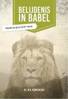 Belijdenis in Babel (Paperback)