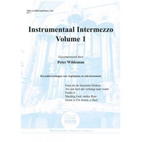 Instrumentaal intermezzo 1 (Paperback)