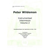 Instrumentaal intermezzo 2 (Paperback)
