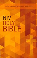 NIV outreach bible (Paperback)