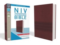 NIV value LP thinline bible burgundy imi (Boek)