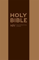 NIV travelers bible with zip (Boek)