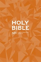 NIV popular bible (Boek)