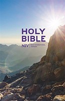 NIV thinline value bible colour hardback (Boek)