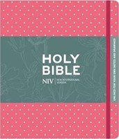 NIV journaling bible (Boek)