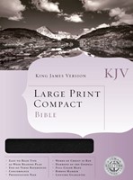 KJV Large print compact bible black bon (Boek)