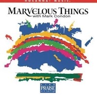 Marvellous things (CD)