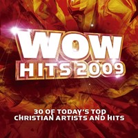 Wow hits 2009 (CD)
