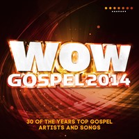 Wow Gospel 2014 (CD)