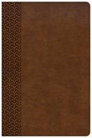KJV everyday study bible brown leathert (Boek)