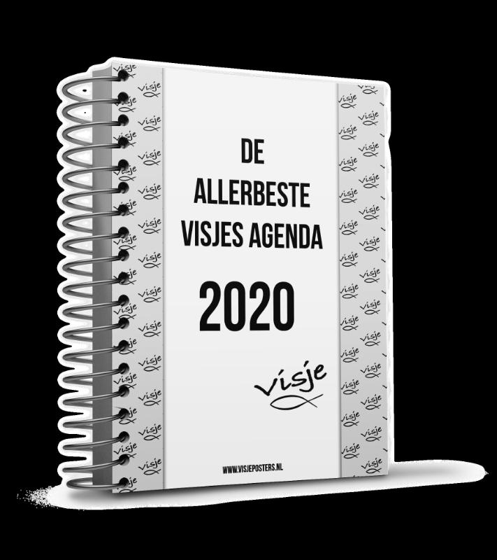 Agenda 2020 visje