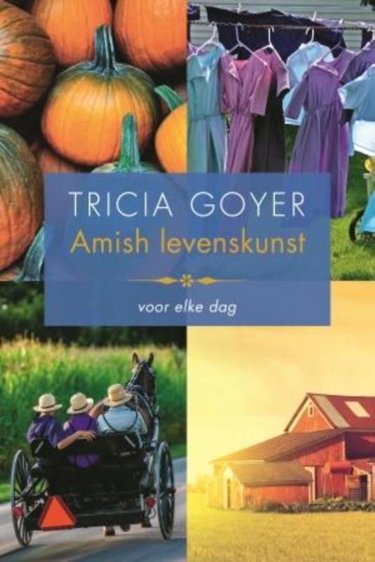 Amish levenskunst