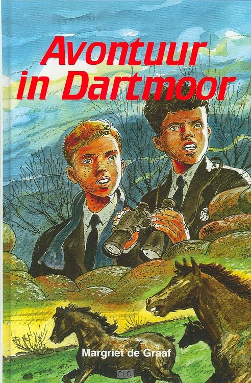 Avontuur in Dartmoor