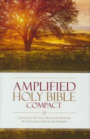 Amplified compact bible