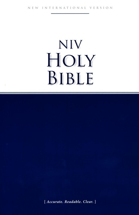 NIV economy bible