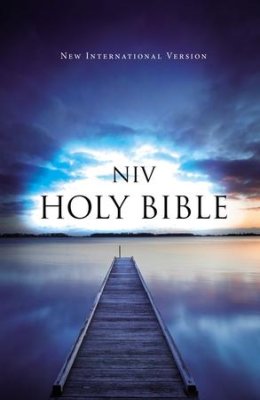 NIV outreach bible