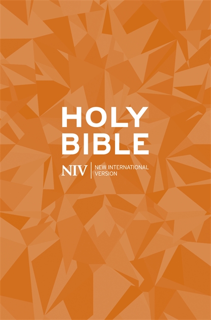 NIV popular bible