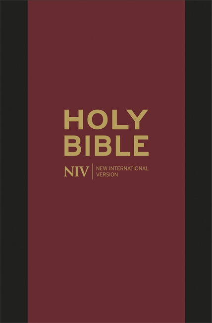 NIV pocket bible with zip