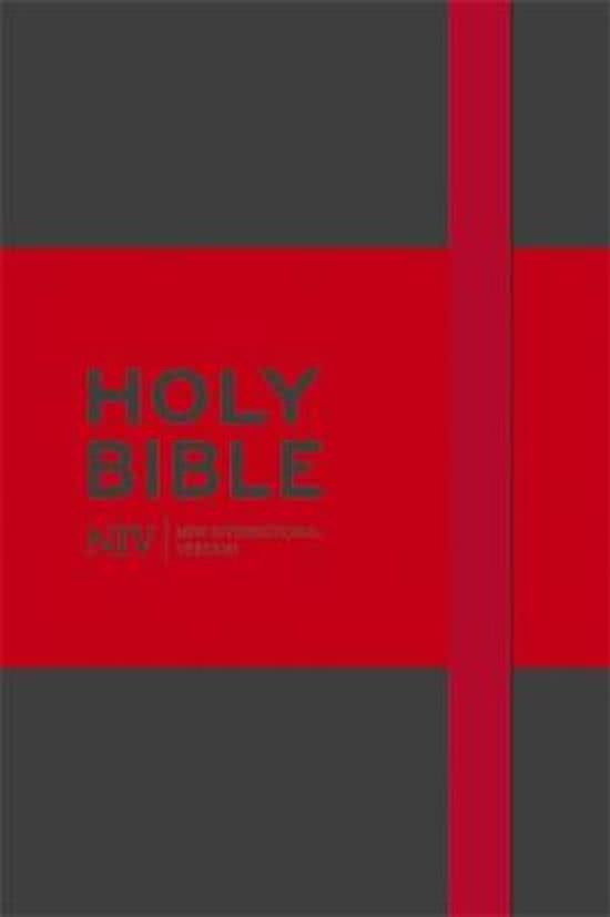 NIV pocket notebook bible grey/red hardc
