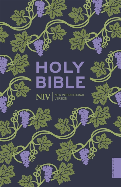 NIV pocket bible
