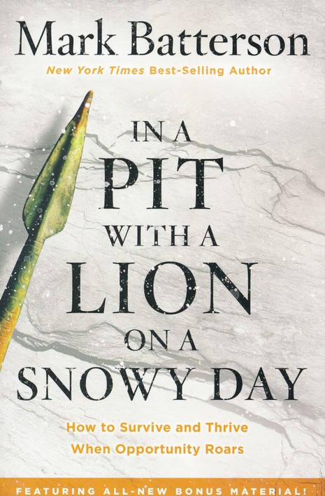 In a pit with a lion on a snowy day