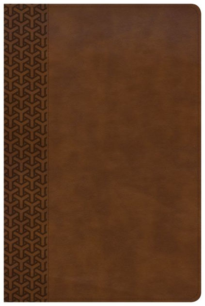 KJV everyday study bible brown leathert