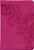 KJV LP compact ref bible pink leatherfle