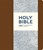 NIV journaling bible with clasp